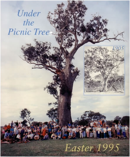 Under the Picnic Tree 1995